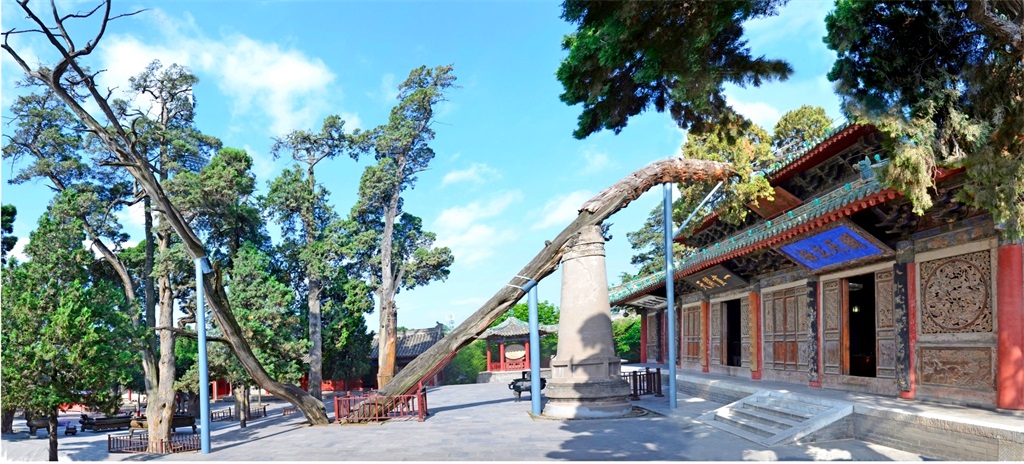 1伏羲庙先天殿、八卦柏.jpg 1伏羲庙先天殿、八卦柏.jpg