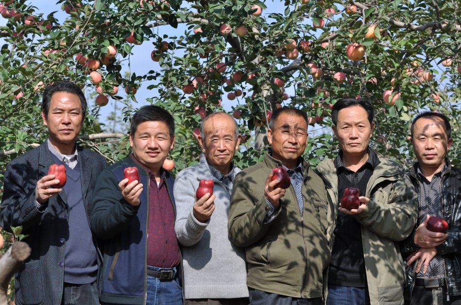 1501120563140511.jpg 6.jpg