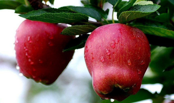 1501119924209435.jpg 1.jpg