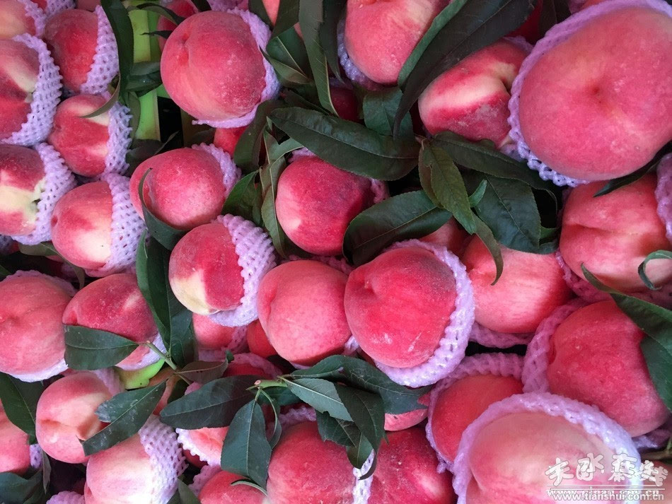 1501123548136436.jpeg 2.JPEG