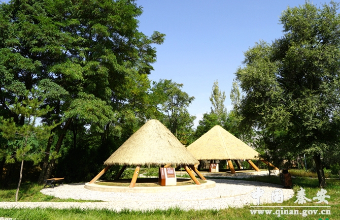 1511161615118875.jpg 4.jpg