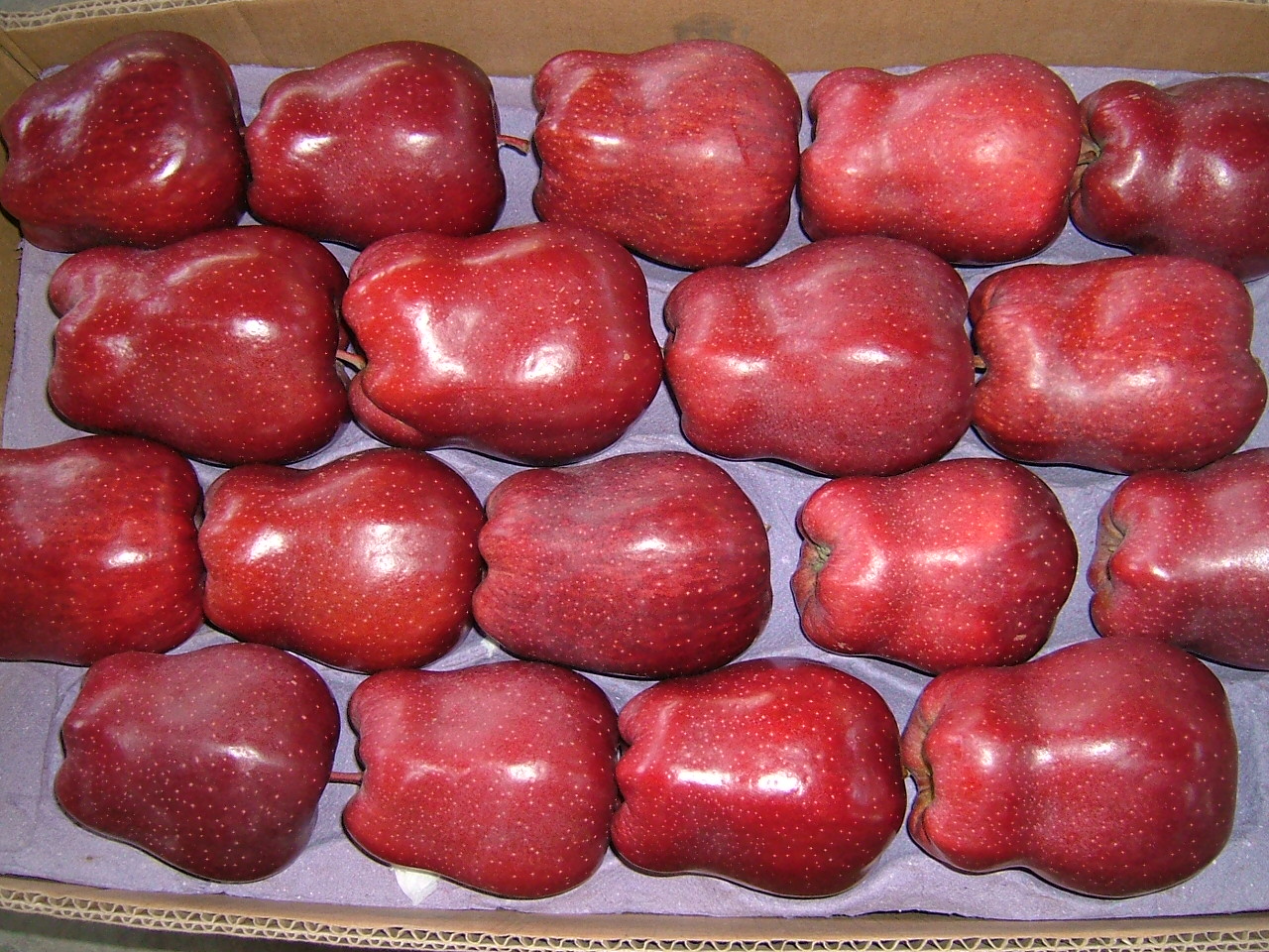 1501120401209693.jpg 5.JPG