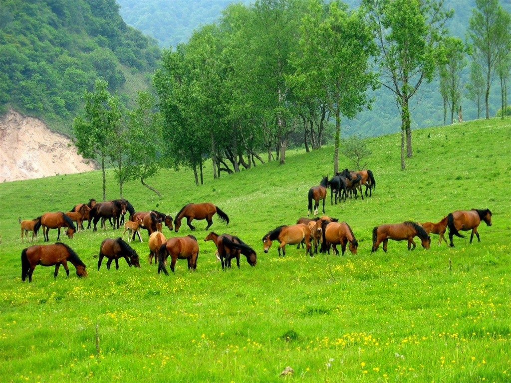 10关山云凤风景区.jpg 10关山云凤风景区.jpg
