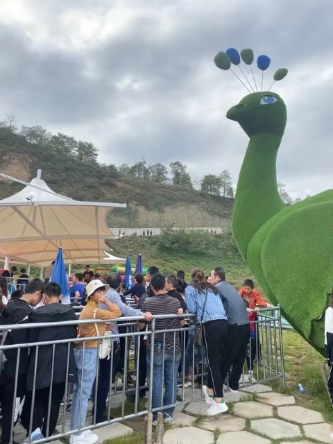 1570498604649995.jpg 6.jpg