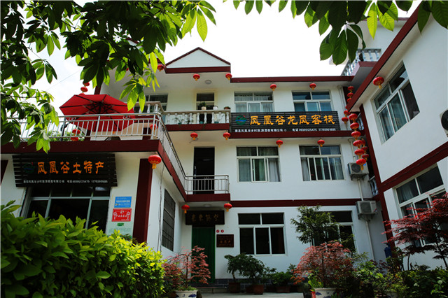 1559716998326266.jpg 05130319of3s.jpg