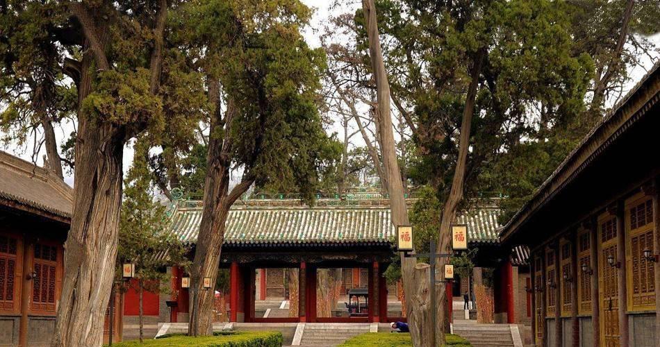 卦柏.jpeg 卦柏.jpeg