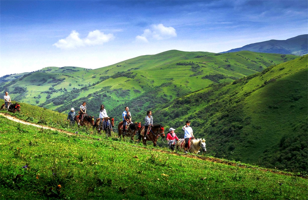 7古坡草原1.jpg 7古坡草原1.jpg