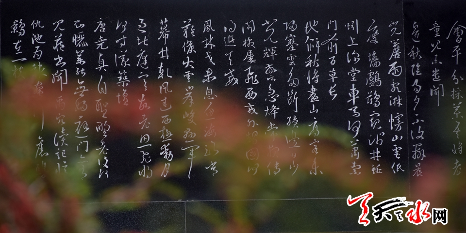 1505874859127326.jpg 8.jpg