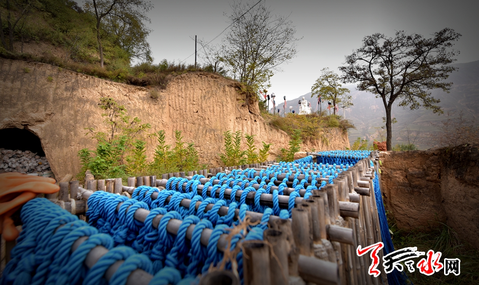 1510024138179184.jpg 11.jpg