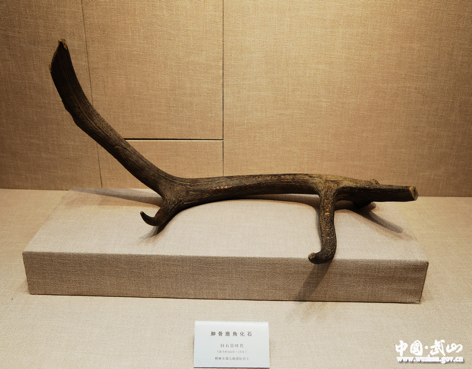 1507518362218601.jpg 7.jpg