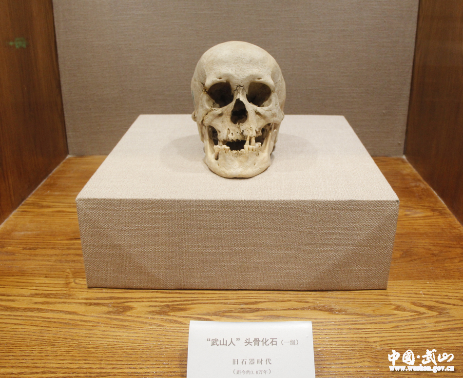 1507518325864938.jpg 5.jpg