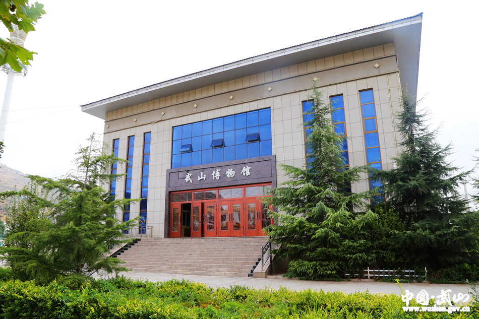 1507518375723665.jpg 8.jpg