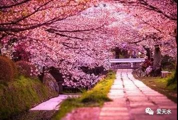 1551338038948635.jpg 7.jpg