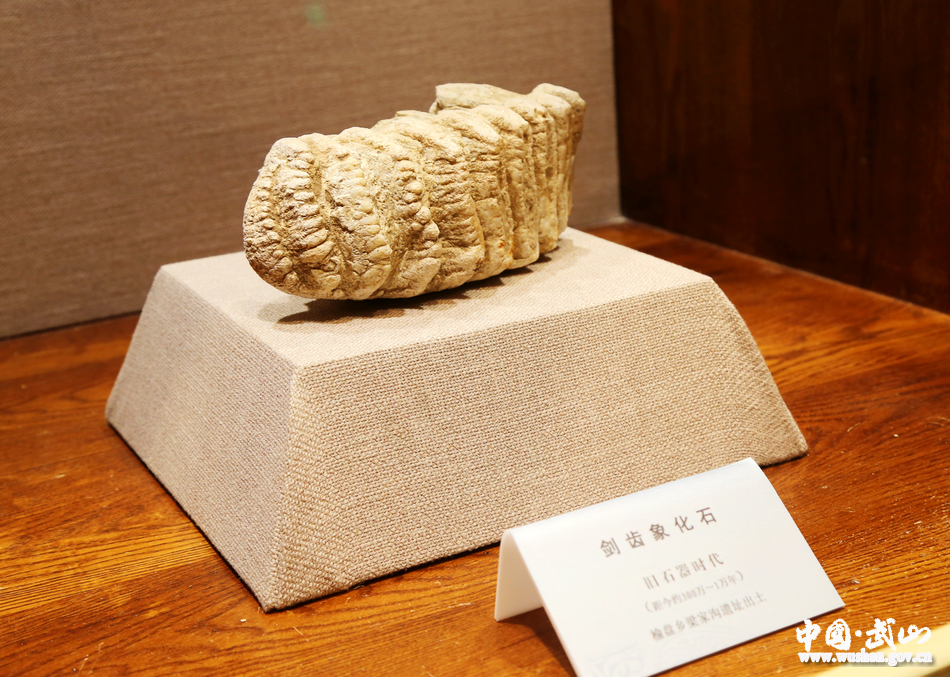 1507518272314949.jpg 2.jpg