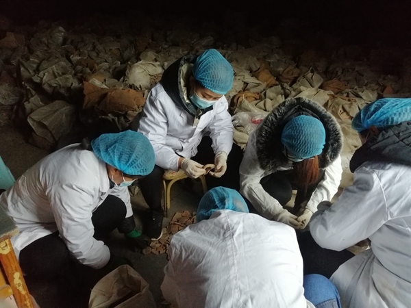 e1e5cc79543ed5136c2e2fbc17122c7.jpg e1e5cc79543ed5136c2e2fbc17122c7.jpg