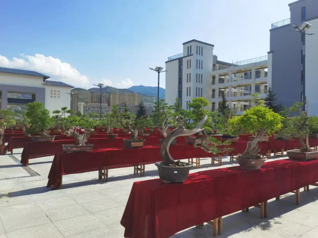 微信图片_20220524110227.jpg 微信图片_20220524110227.jpg