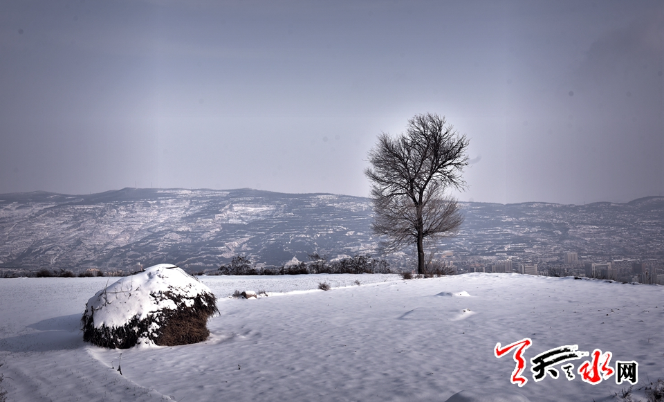 1515486121137064.jpg IMG10c37ba11e9c4654042249.jpg