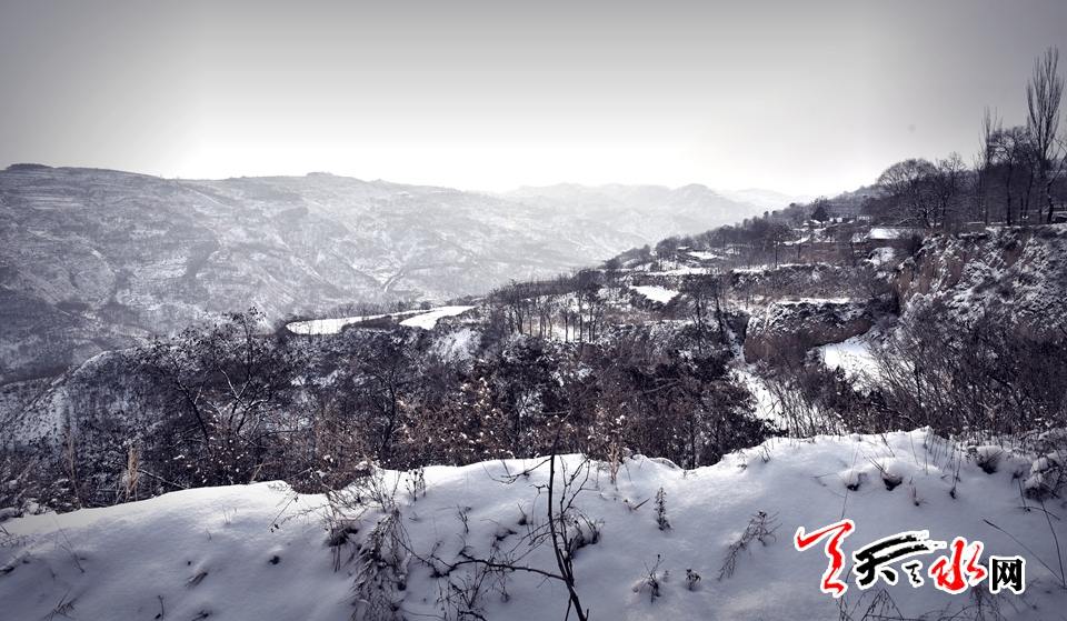 1515486080112713.jpg IMG10c37ba11e9c4654042237.jpg