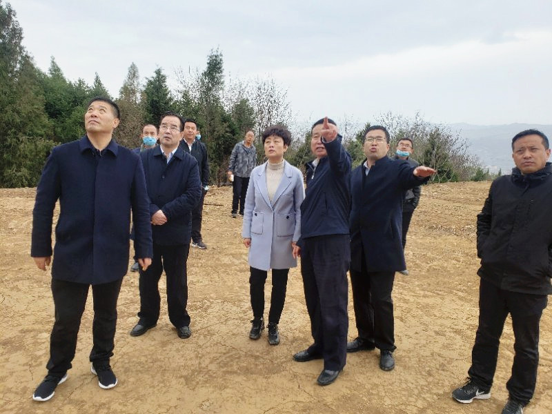 1585300887138863.jpg 10.jpg