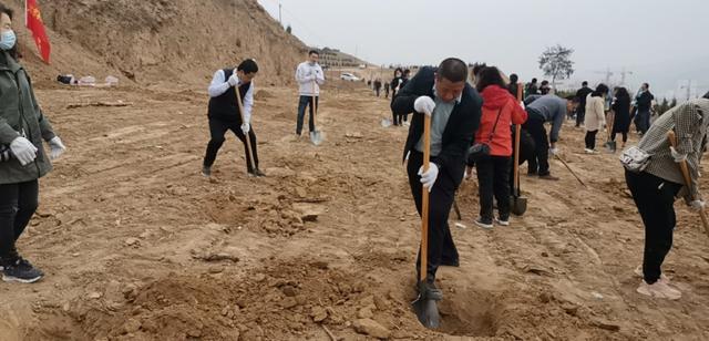 1585292615800348.jpg 图片2.jpg