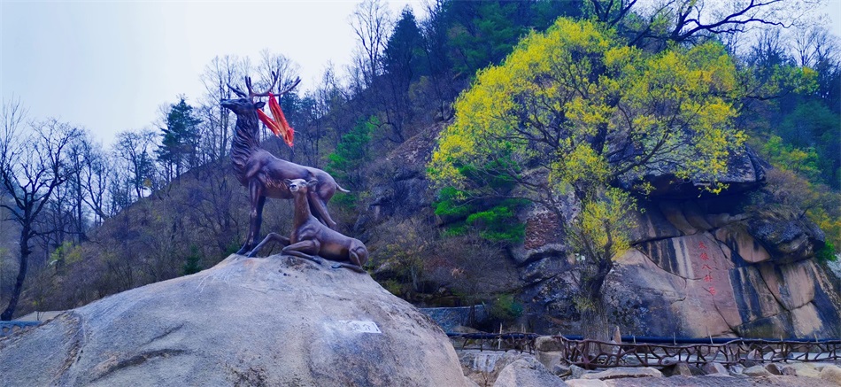 马鹿镇花园村太极八卦石春景.jpg 马鹿镇花园村太极八卦石春景.jpg