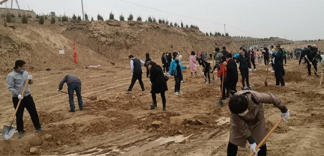 1585292741134263.jpg 图片5.jpg