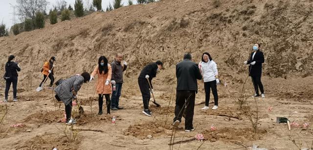 1585292662730636.jpg 图片3.jpg