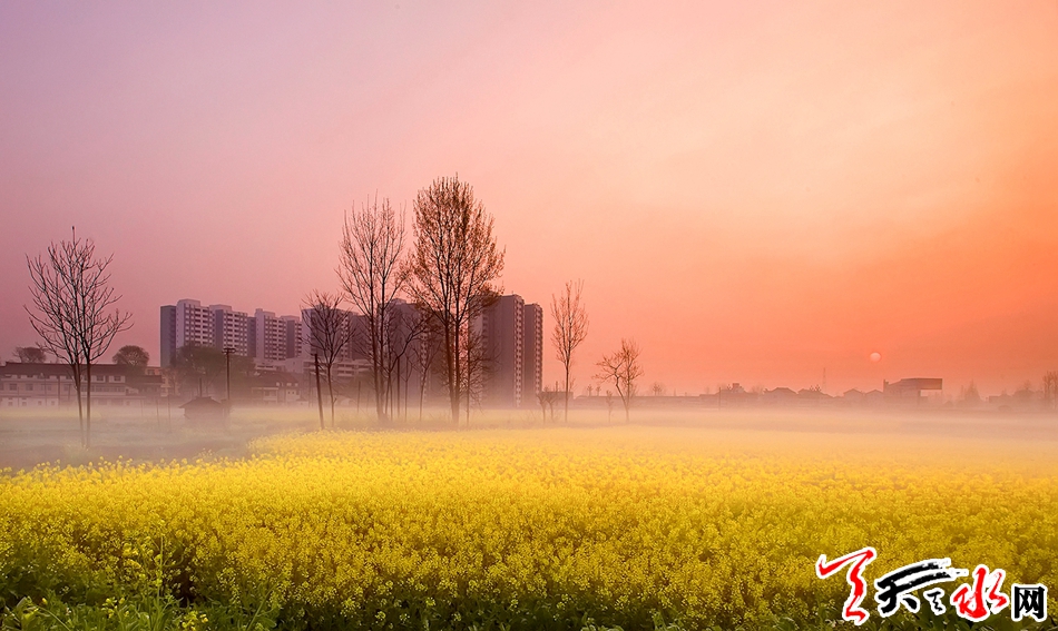 1521789076130945.jpg IMGb083fe7c568147177109115.jpg