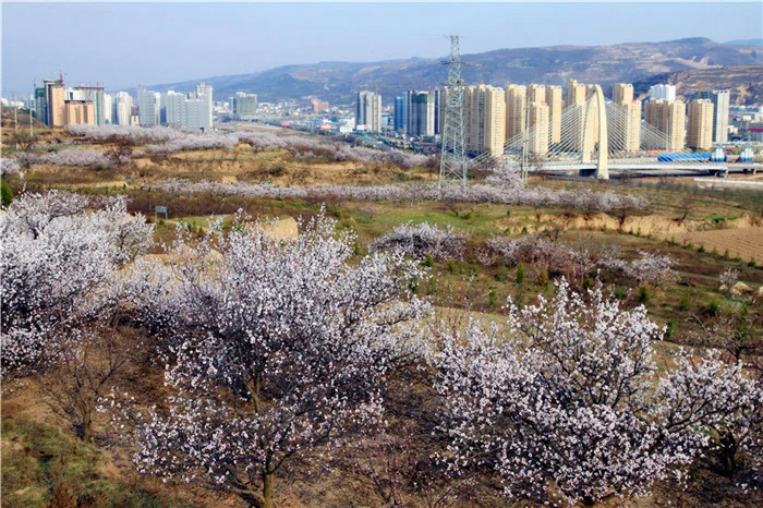 1师赵村遗址.jpg 1师赵村遗址.jpg