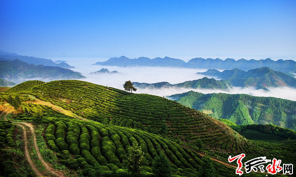 1521789126122468.jpg IMGb083fe7c568147177109014.jpg