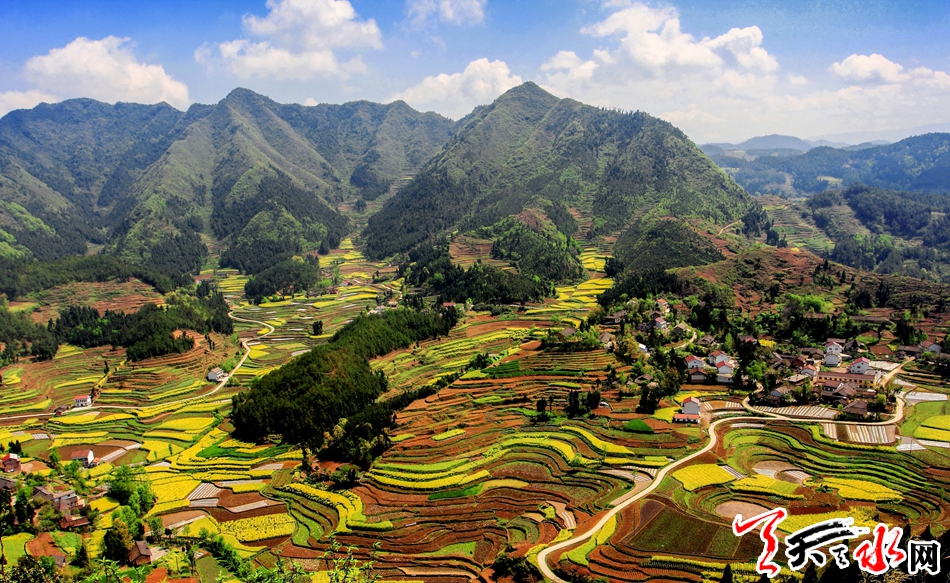 1521788996801423.jpg IMGb083fe7c568147177109528.jpg