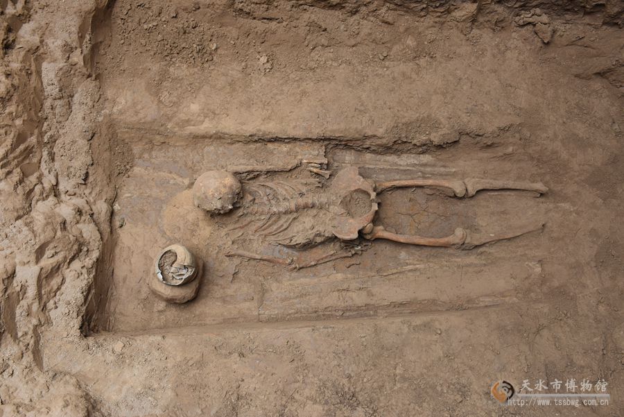 1506050868293433.jpg 2.jpg