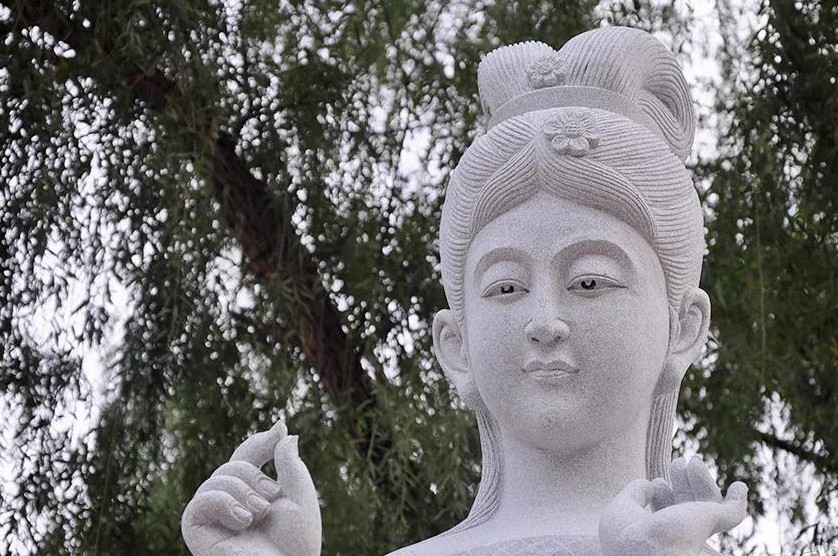 1546144490695006.jpg 6.jpg