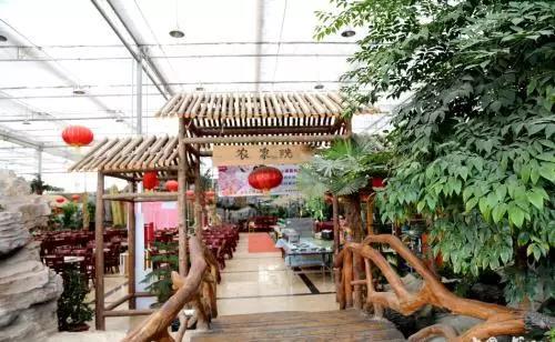 1551948384681193.jpg 4.jpg