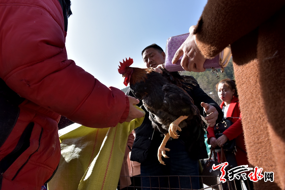 1518401455935898.jpg 2.jpg