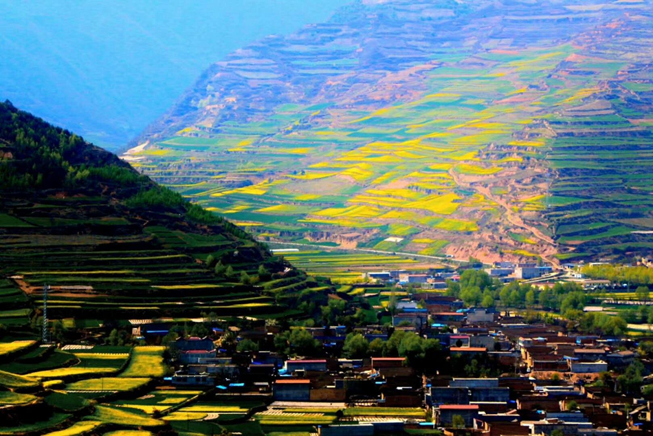 1591343350250315.jpg 微信图片_20200605105329.jpg