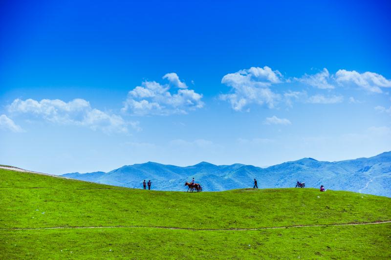 1588168916640312.jpg 微信图片_20200429220025.jpg