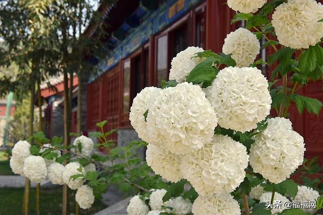 1588560311134921.jpg 2020.0504 (1).jpg