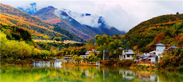 1514861717195063.jpg 12.jpg