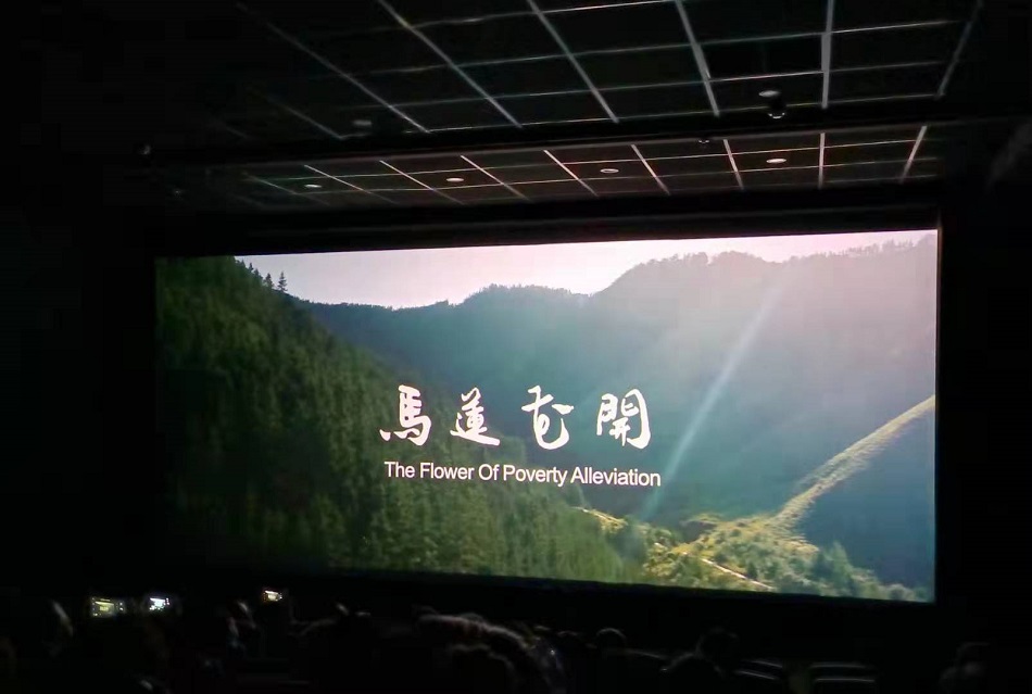 微信图片_20210514210255.jpg 微信图片_20210514210255.jpg