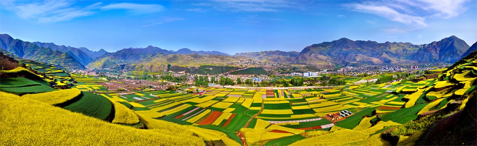 1588169560375280.jpg 微信图片_20200429221102.jpg