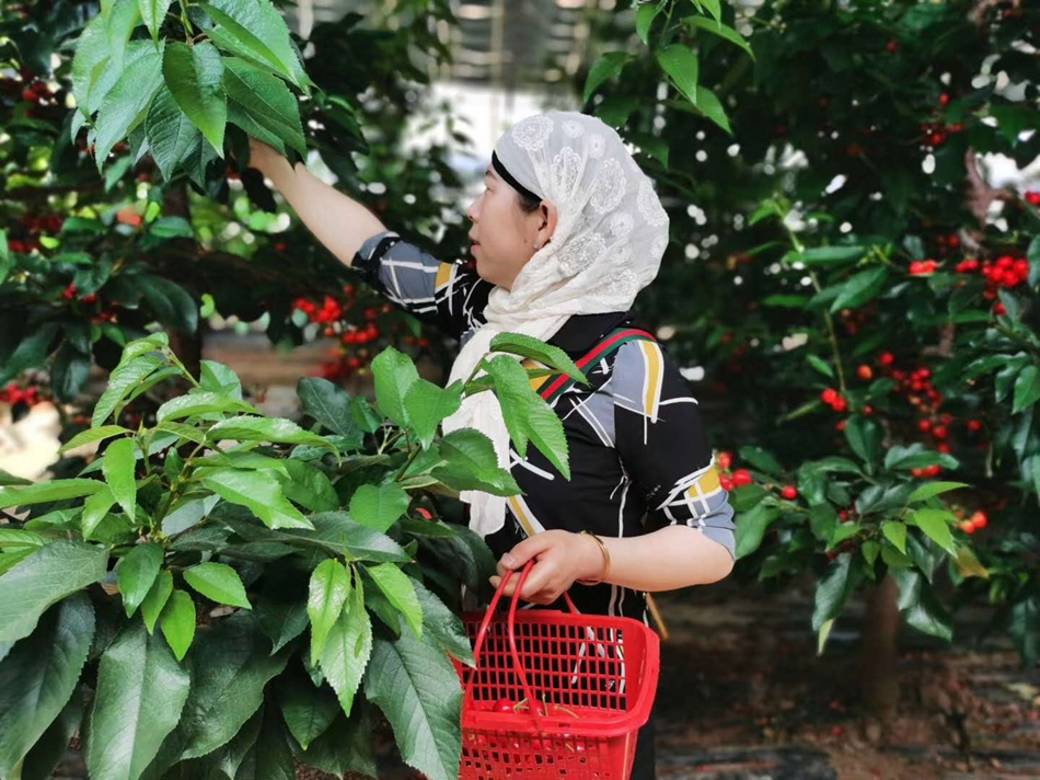 1588576538880989.jpg 图片11.jpg