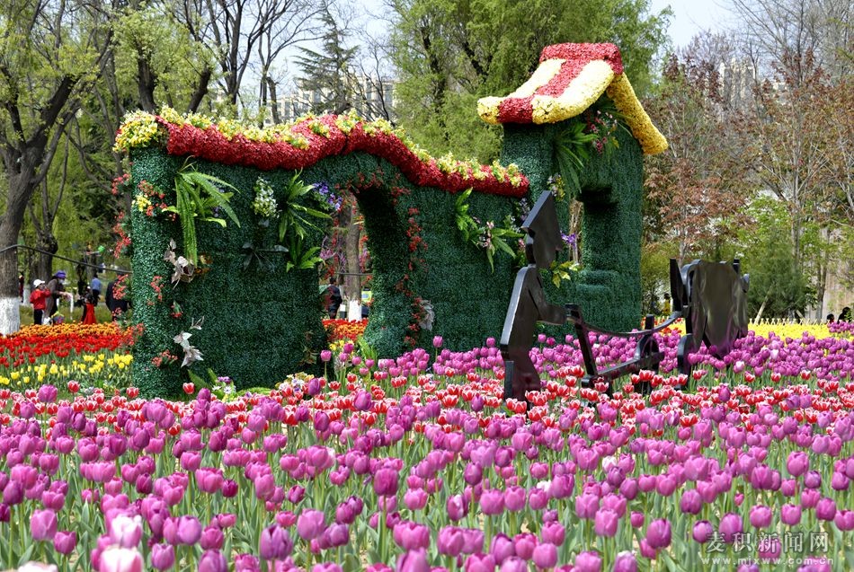 1588168647843724.jpg 马跑泉公园.jpg