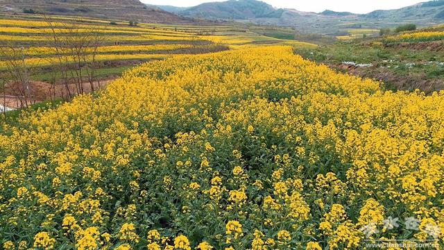 1557021163139750.jpg 微信图片_20190505094725.jpg