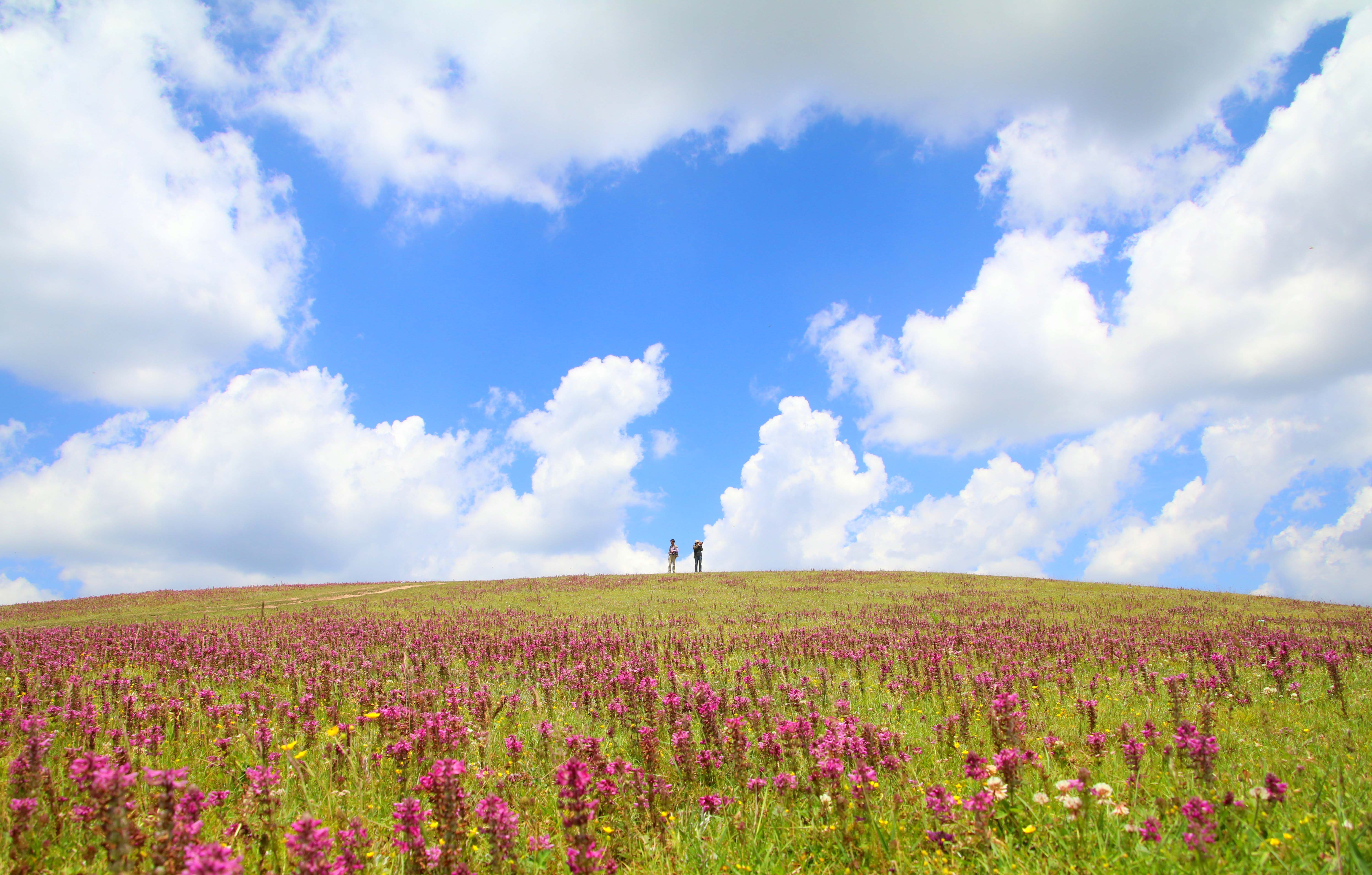 1593319104189167.jpg 1.jpg