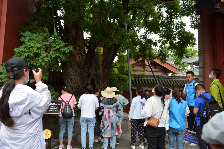 1593352519102566.jpg DSC_4282.JPG