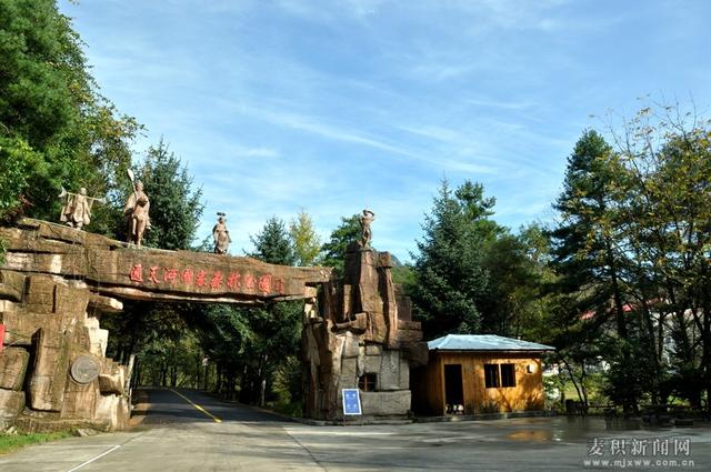 1557020689135575.jpg 3.jpg