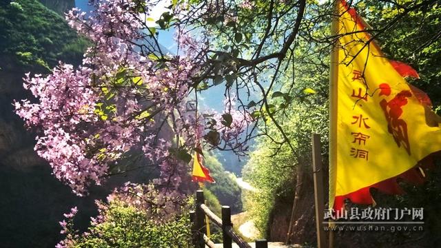 1557020229136587.jpg 3.jpg