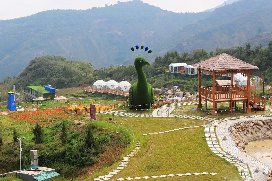 1593319089743503.jpg 4.jpg