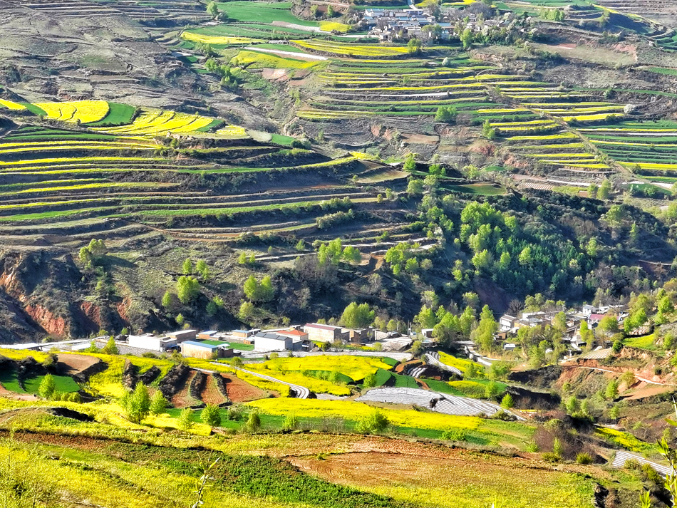 微信图片_20210429163745.jpg 微信图片_20210429163745.jpg